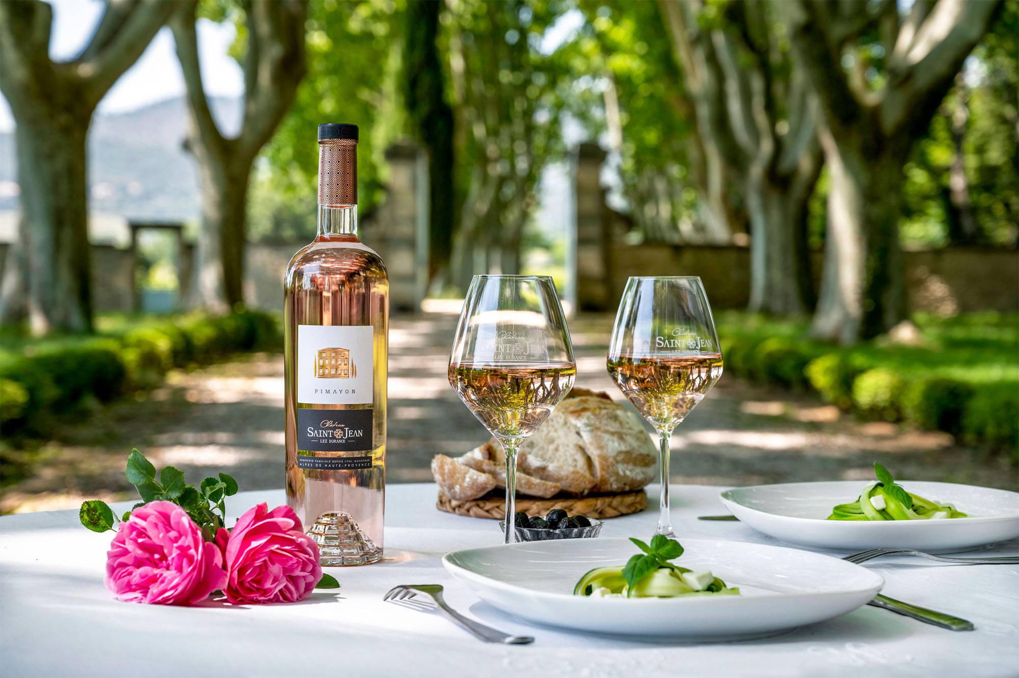 Chateau Saint Jean Lez Durance