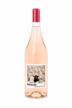 Mouton Noir Rose IGP Alpes-de-Haute-Provence 2025